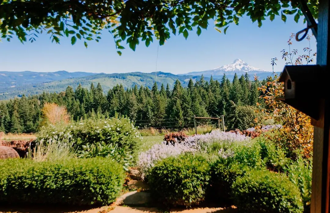 Sakura Ridge Farm & Lodge-1